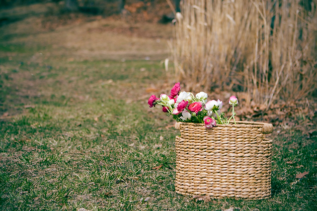 Professional editorial photography - Flowers in the basket