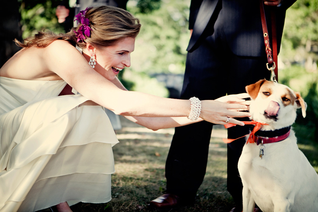 After the ceremony photos - Bride with a dog