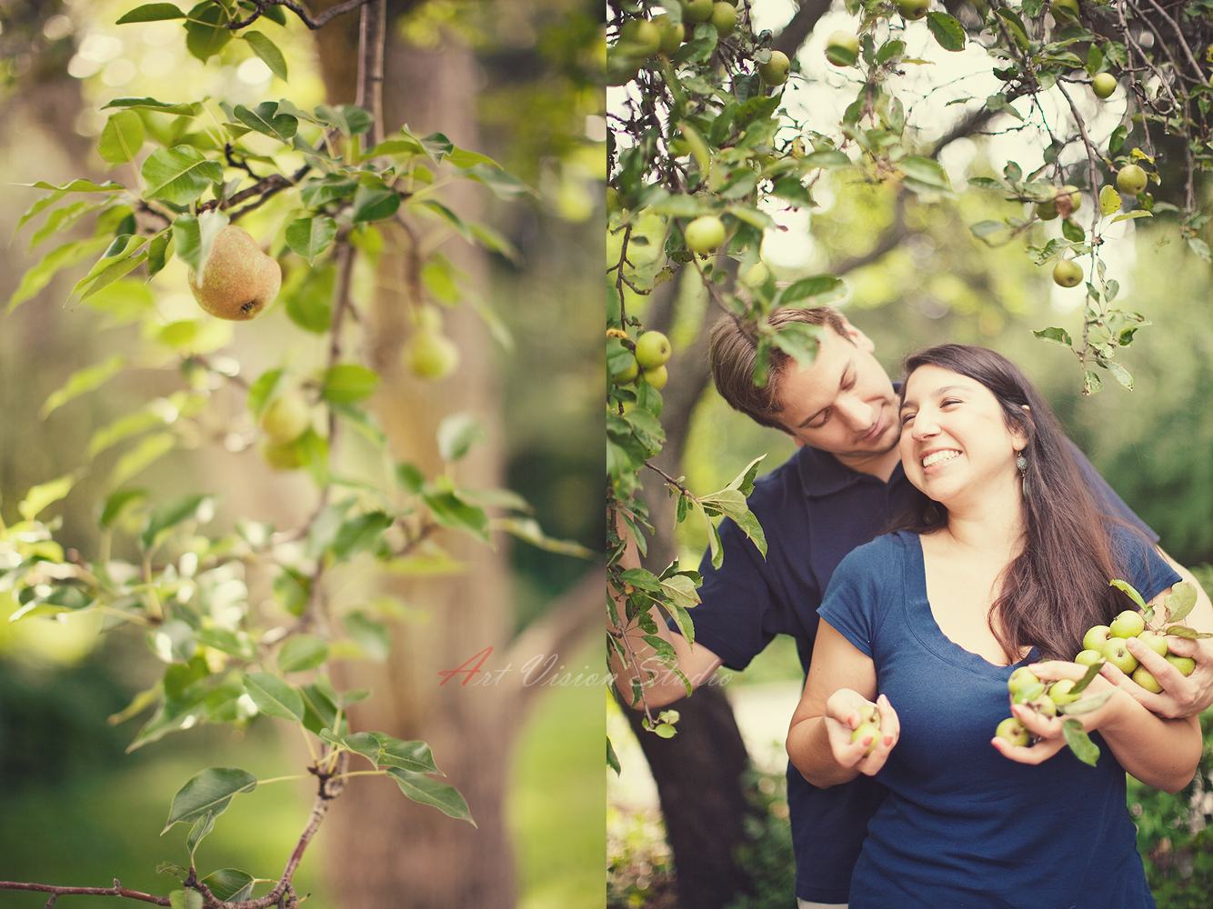 Apple picking engagement session in Norwalk, CT-Norwalk wedding photographer,CT