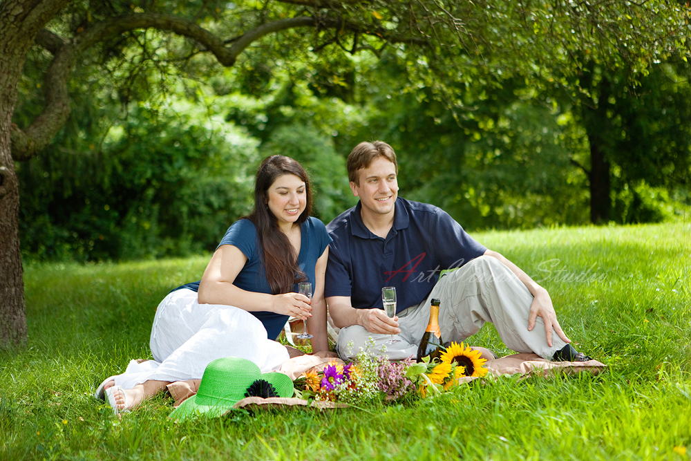  Picnic engagement photos-Norwalk wedding photographer