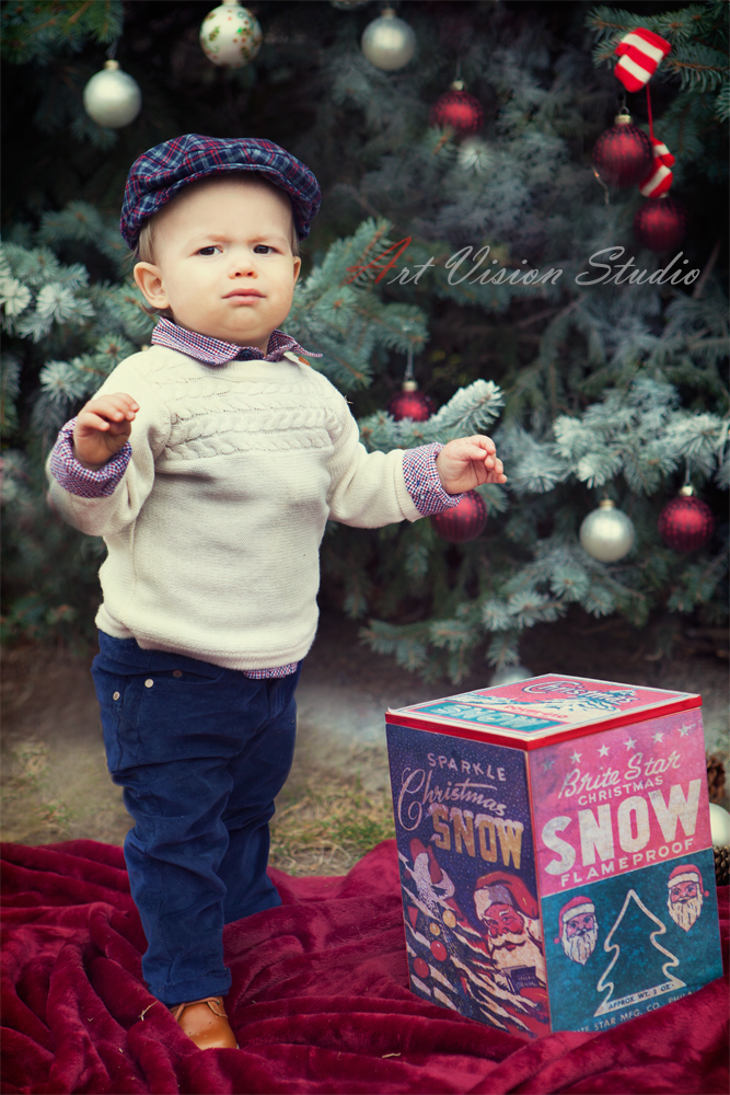 Stamford, CT family photographer - Xmas photography session in a park