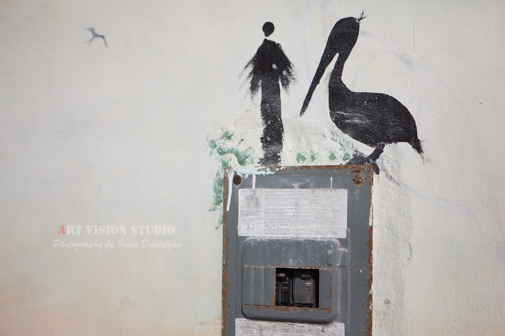 Pelican wall art in Holbox - Cozy Caribbean island photography 