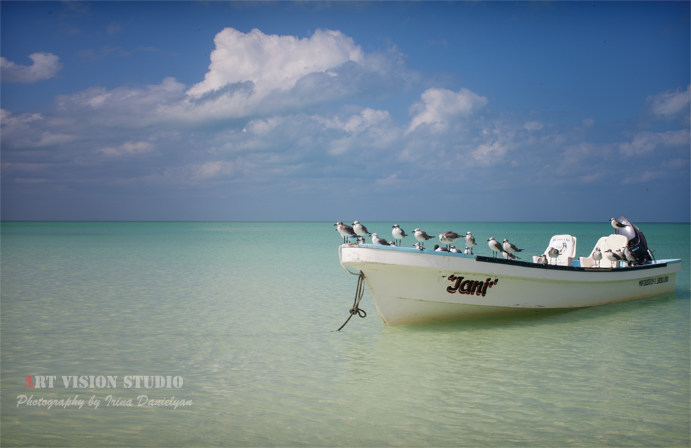 Holbox island - Travel photography by Art Vision Studio