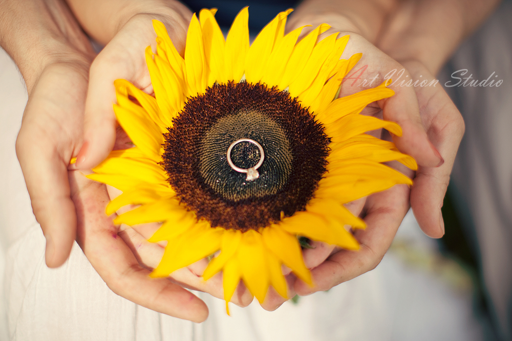  Stamford, CT wedding photographer